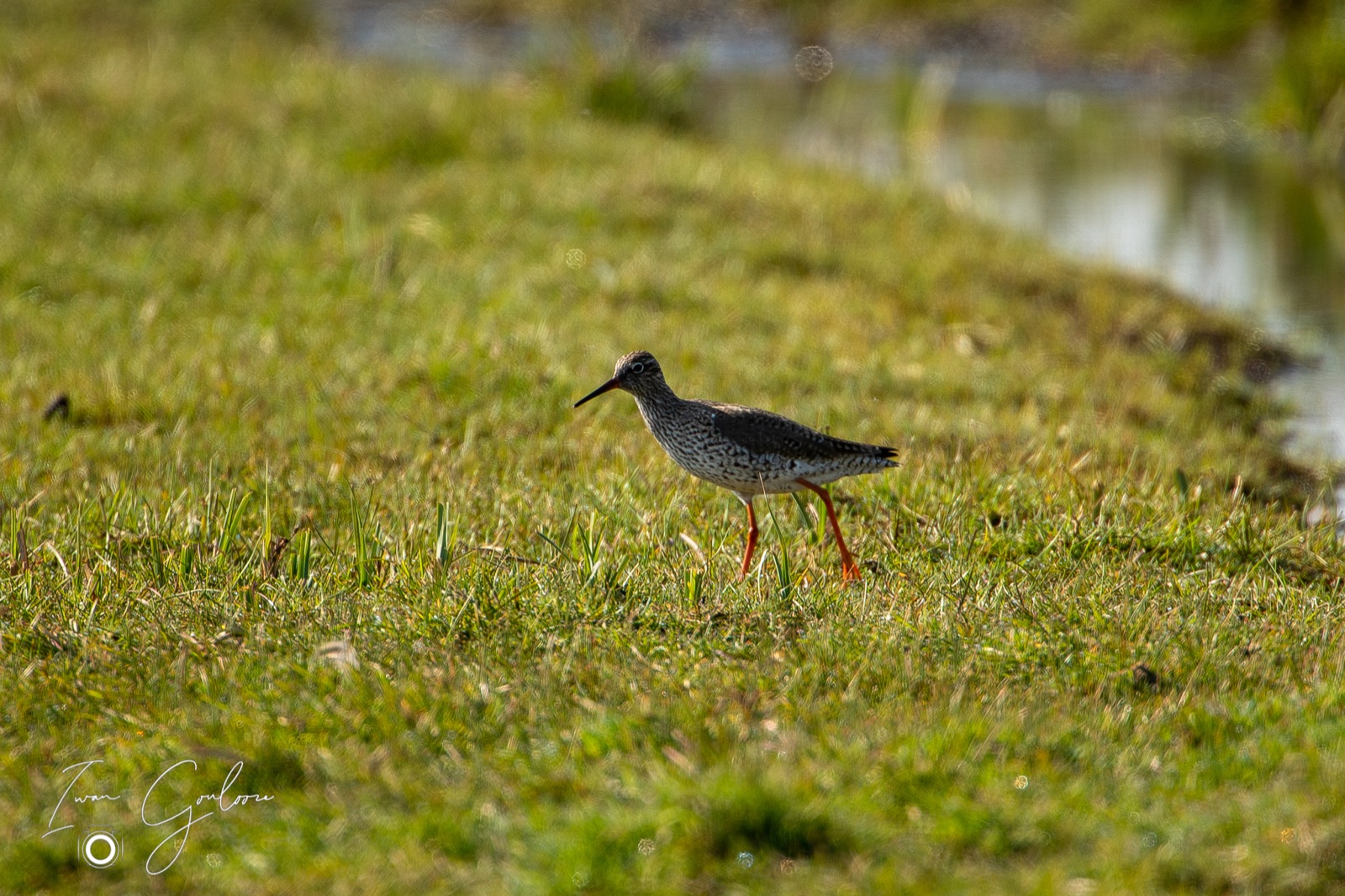 14 april 2022 103910  5D46121